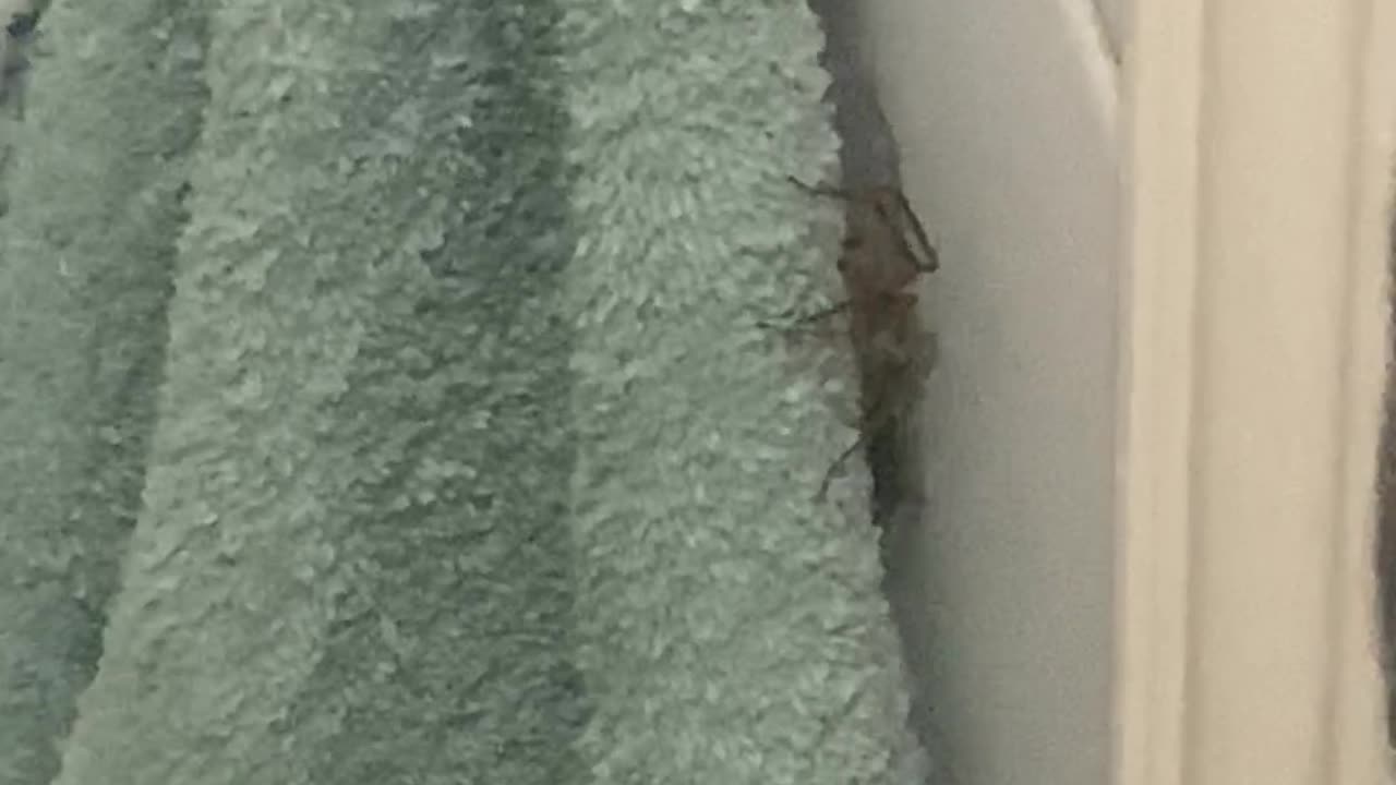 Guess I Won't Be Drying Myself