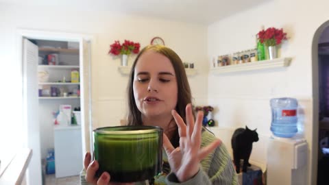 Vlogmas Day 15 ~ Shopping for Herbs, Cooking & Putting Things in Jars (And I Fix my Plants!)