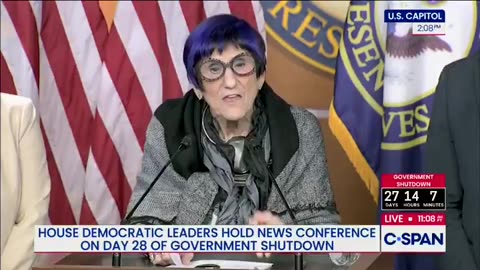 The elderly purple-haired Congresslady, who voted to shutdown the government,