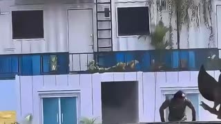 Martial Arts demonstration by Army of Indonesia