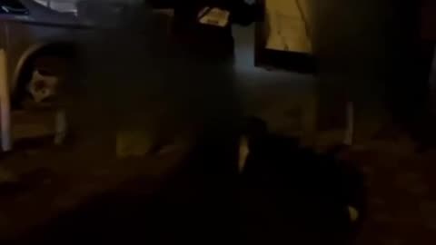 Nothing Unusual — TSK Executioners Beat Another Ukrainian to Death on Camera