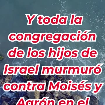 “Las quejas del pueblo en el desierto” Éxodo 16:2. #shortvideo #reels #youtubeshorts #ytshorts #yt