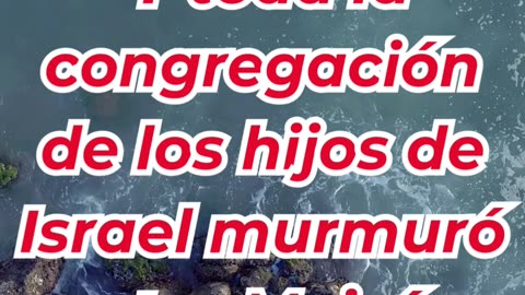 “Las quejas del pueblo en el desierto” Éxodo 16:2. #shortvideo #reels #youtubeshorts #ytshorts #yt