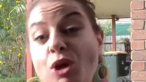 Confessions of a Freemason