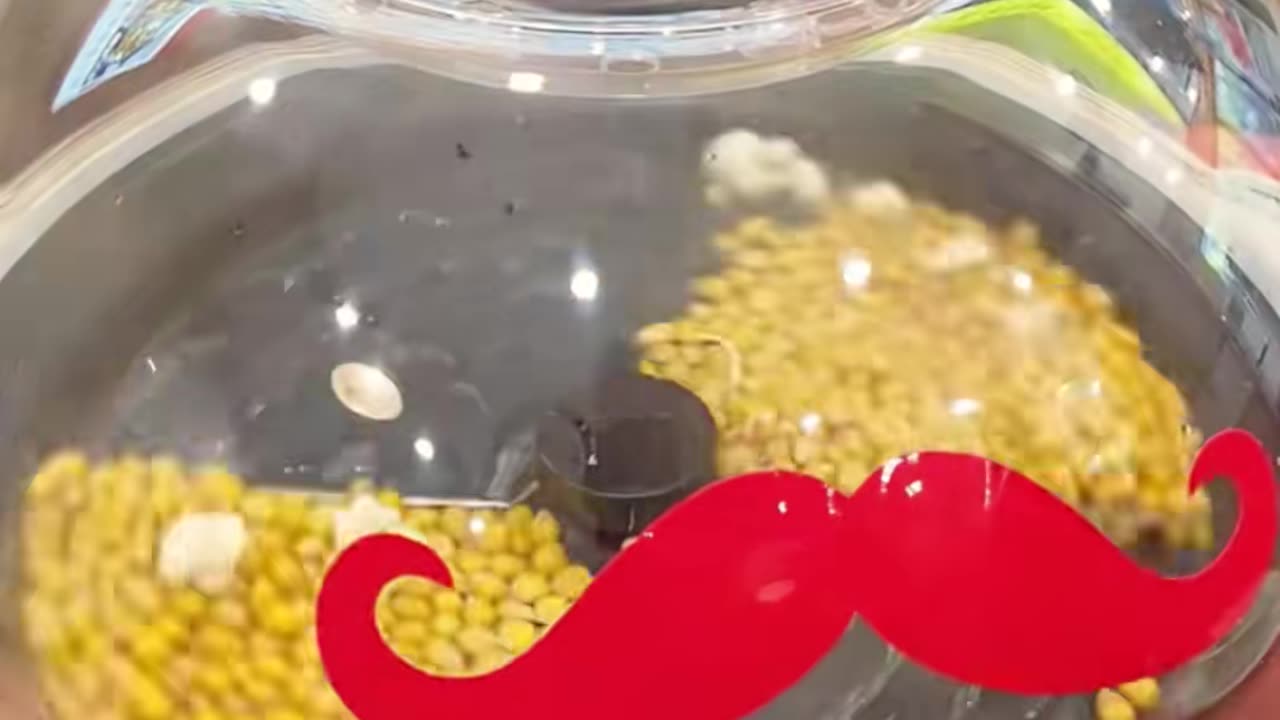 ✨💡 This Simple Trick Changes Everything! Genius Kitchen Hack! | LifeHacksDaily