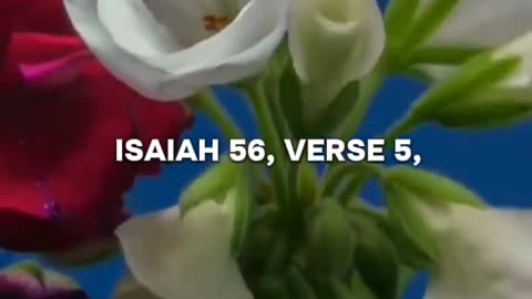 #bible study with #jairus #Revelation 14 Part 3 Why do these 144,000 people sing a new song Part 2