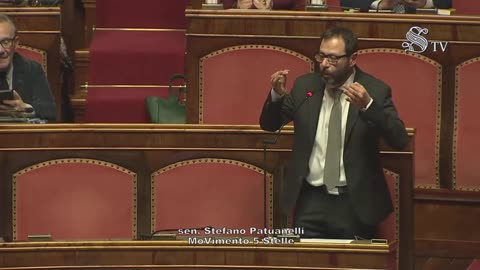 Patuanelli - Intervento in Senato (11.03.25)