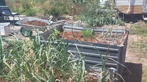 Explore the Hidden Garden!