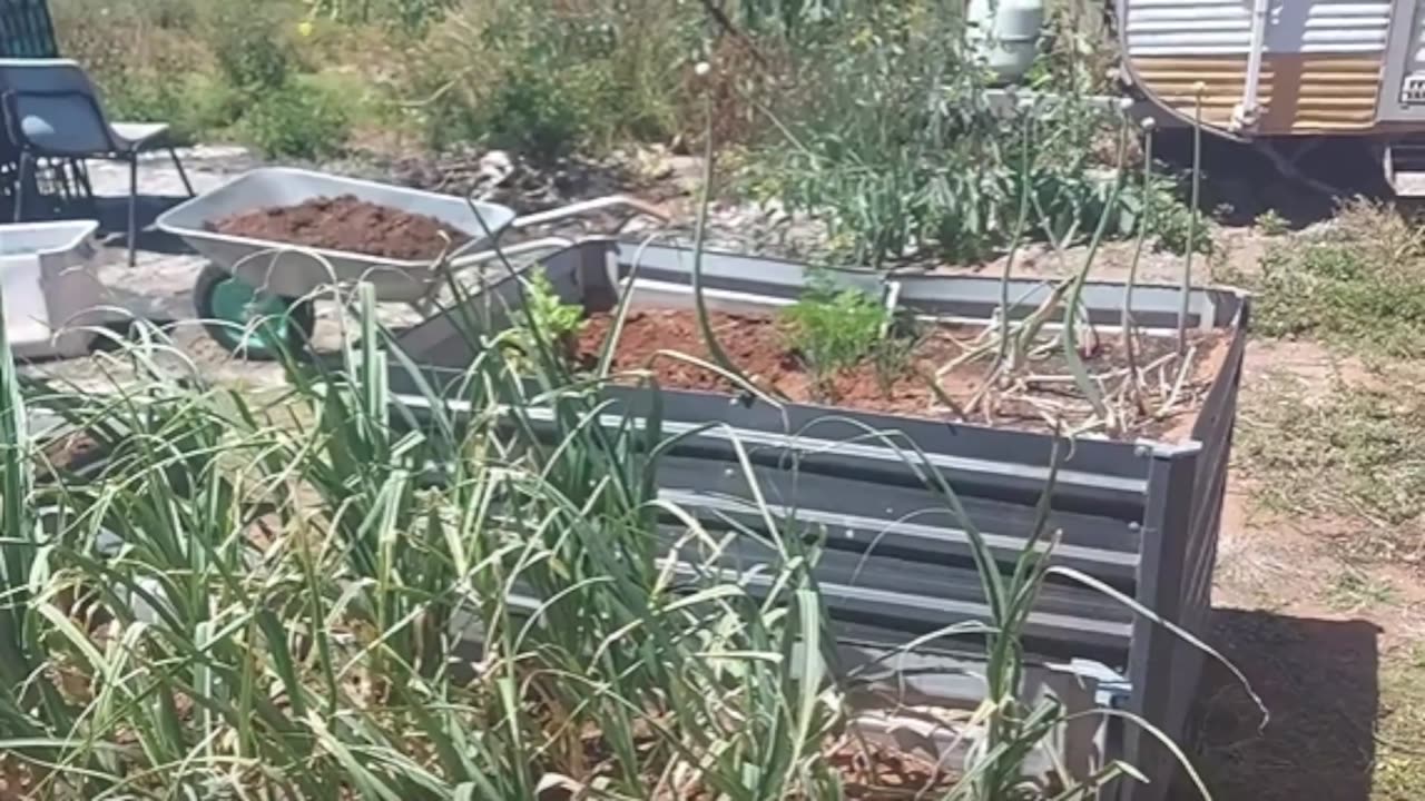 Explore the Hidden Garden!