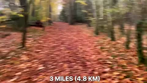 Music Break - Last Minutes Of Jim Croce