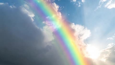 Light Of The New Dawn