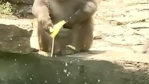 Funny