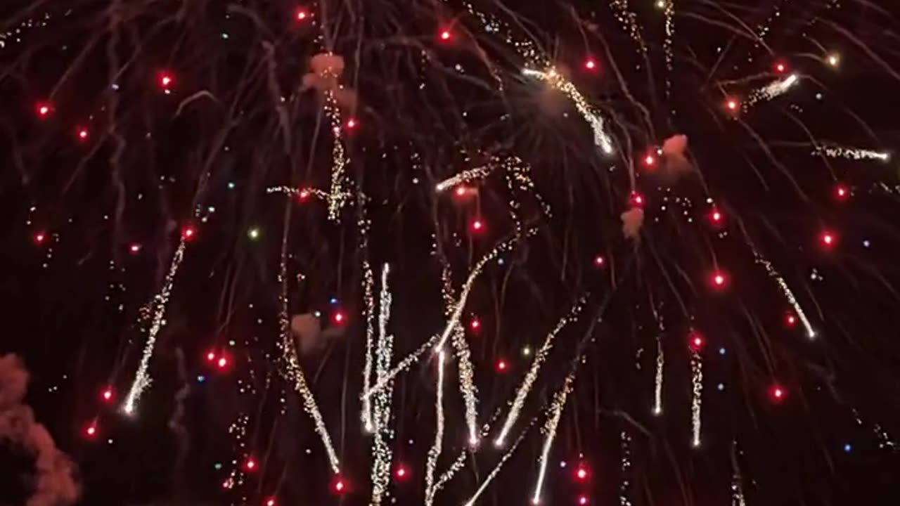 Daily Horoscope | Sagittarius 🌟