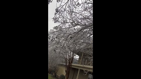 Our Tupelo “Ice Storm” 2026 🧊🥶