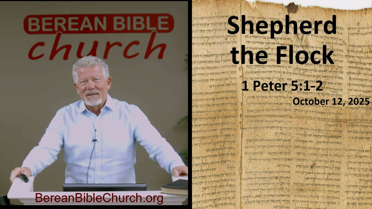 Shepherd the Flock (1 Peter 5:1-2)