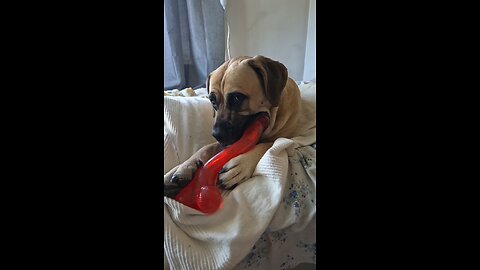 You have a dirty mind, don’t you?