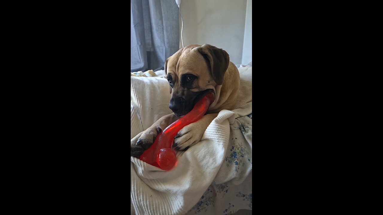 You have a dirty mind, don’t you?