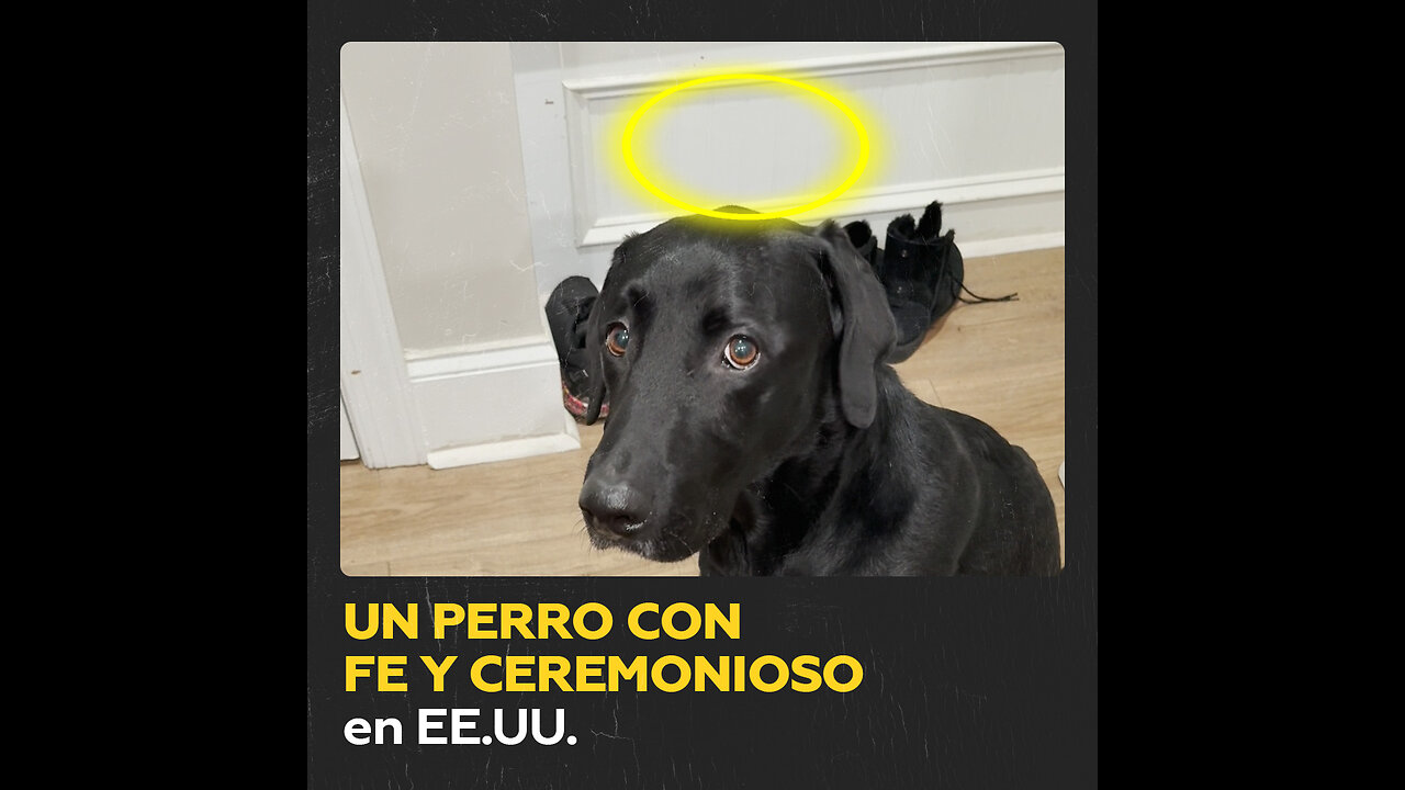 El perro que no come sin una oración