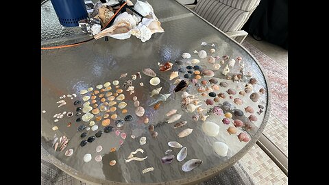 Beach Finds 12/8/2025 | 4K