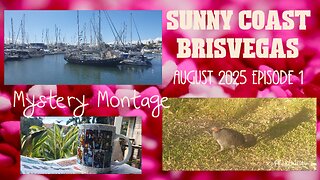 The Sunny Coast & Brisvegas - South East Queensland - Australia - Mystery Montage - August Episode 1