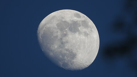 do the star trails prove a globe?