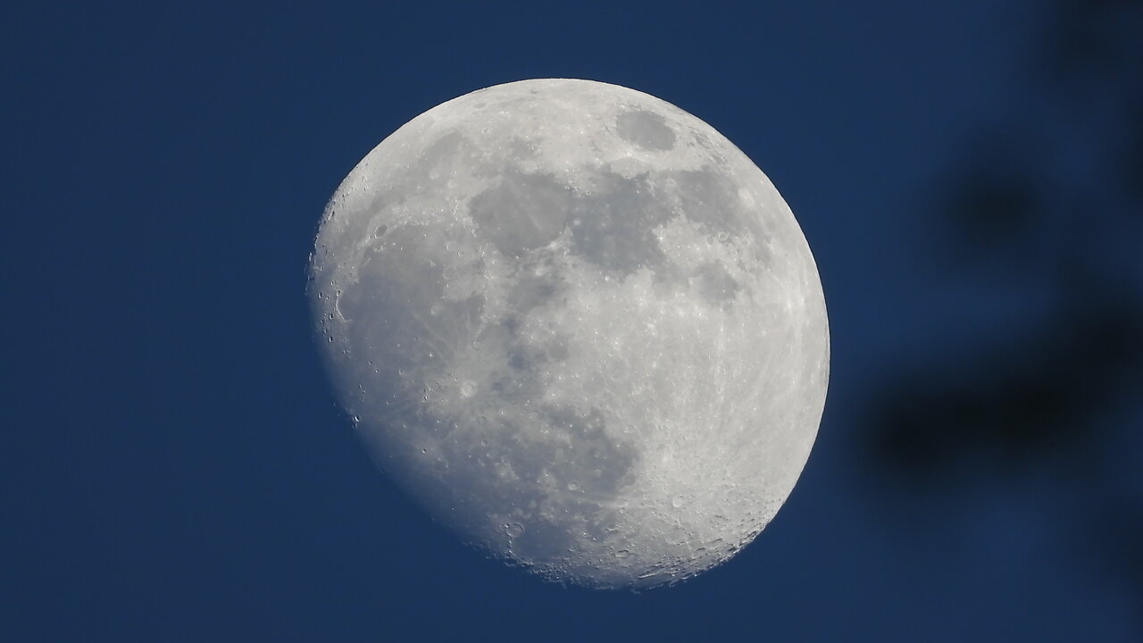 do the star trails prove a globe?