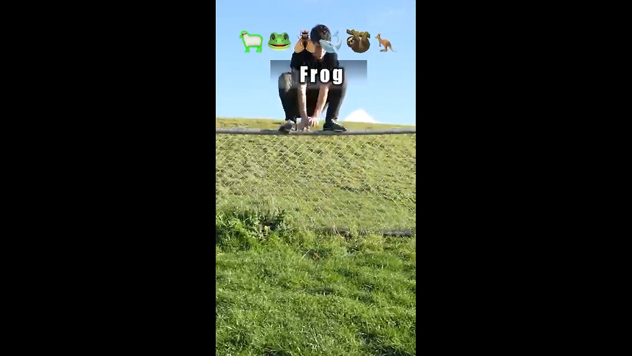 How different animals take fall damage