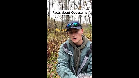 Facts About Opossums You Never Knew🤍