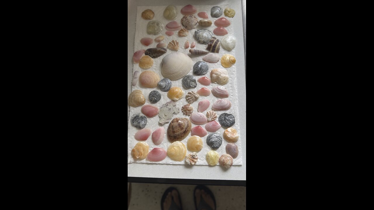 Beach Finds 1/20/2025 | 4K