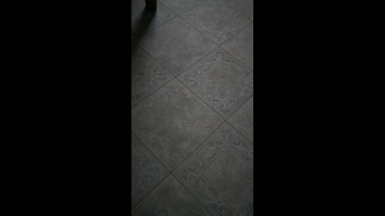 opening credits