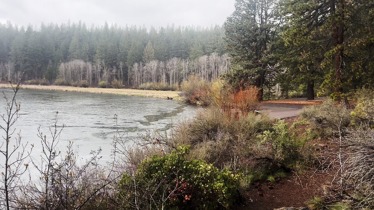 HIKING EXPLORING Aspen Day Use Area & Boat Ramp Launch! | Upper Deschutes River Central Oregon | 4K