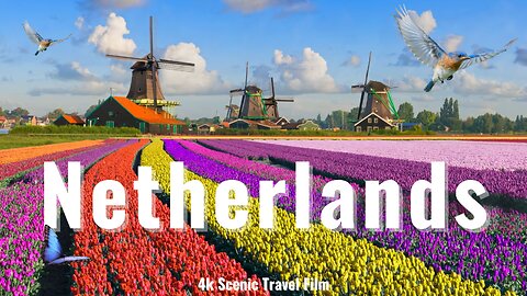 The Netherlands 4k - Tulips, Windmills, Canals / Holland / Scenic Relaxation Film