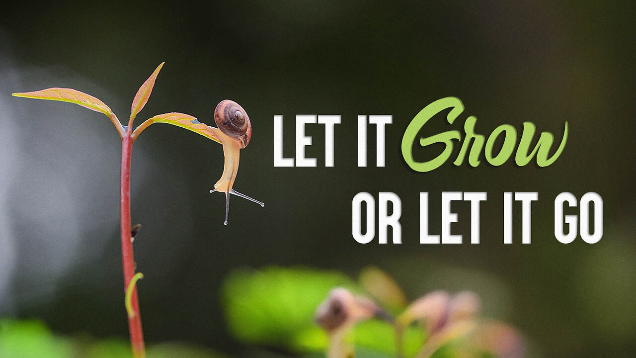 Let It Grow or Let It Go