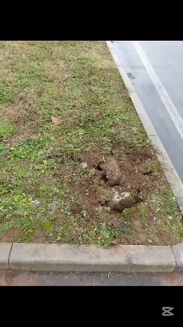 che succede a Magenta?