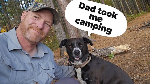 2 Nights Solo Camping On Johnston Lake In Algonquin