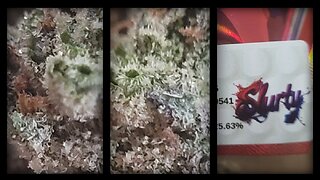 SLURTY THCA (red label) JK Distro