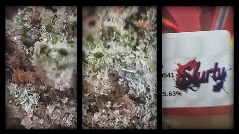 SLURTY THCA (red label) JK Distro