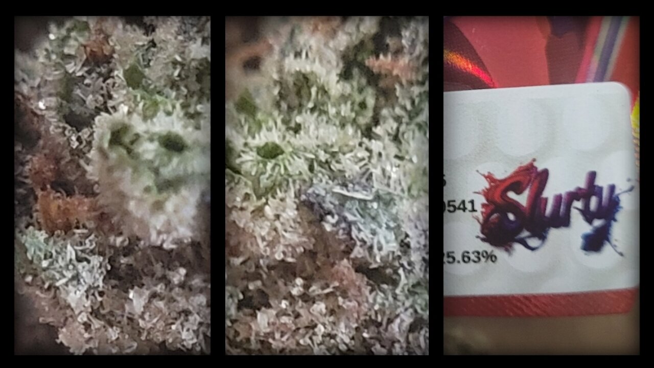 SLURTY THCA (red label) JK Distro