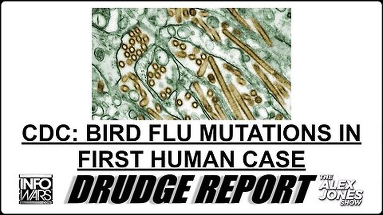 It&apos;s Official: The Democrat Controlled NIH/CDC Are Trying To Launch New Pandemic Hysteria