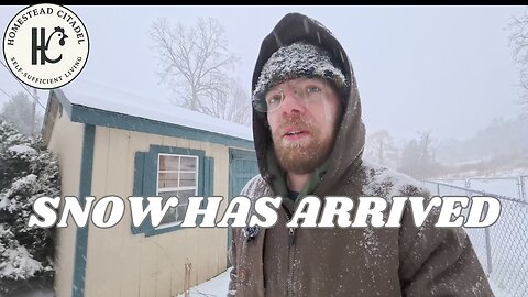 The Storm Hits: Real-Time Plowing & Livestock Care #41