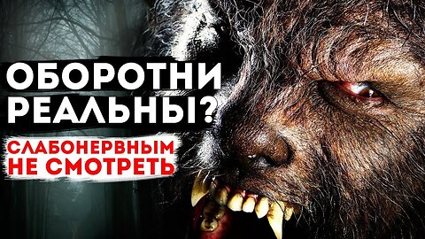 Оборотни существовали случай из практики учеников на курсе Экзогипноз Смотреть до конца #экзогипноз