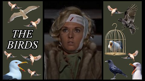 The Birds "Melanie's Montage"