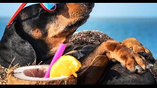 Life in the Past Time Travel Rewind