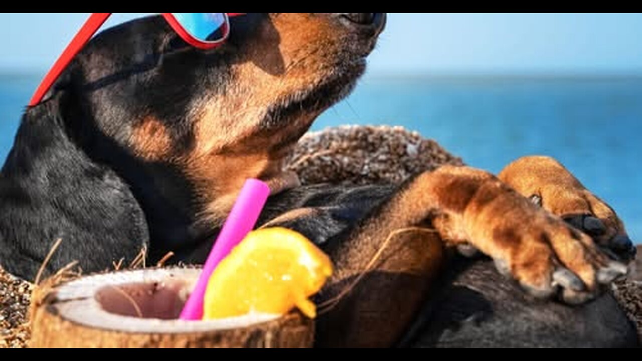 Life in the Past Time Travel Rewind