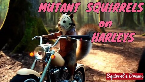 Squirrel Biker Gang Rendezvous in the woods