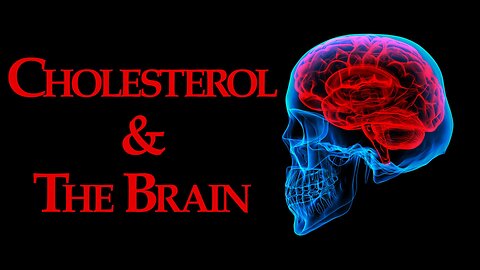 Alzheimer’s Disease, Cholesterol, Brain Anatomy, and Margarine