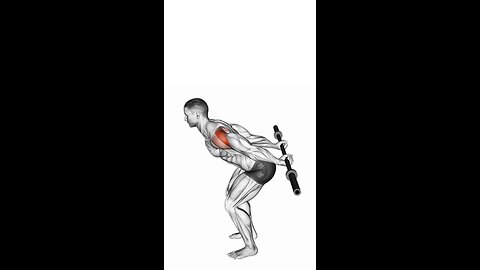 Bent Over Barbell Reverse Raise Exercise.