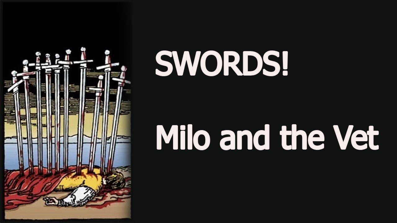 SWORDS - AND THE VET - MILO MY STORY - Read 21 October 2025