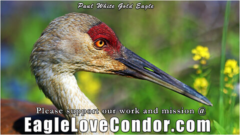 Genesis Creation Principles 🕉 Garden of New 5D Earth * Creatrix of Life, the Rose Mother 🕉