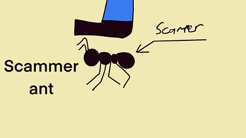 Scammer ant